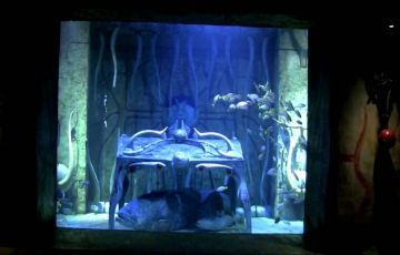 Beautiful 5 Days Dubai Honeymoon Holiday Package