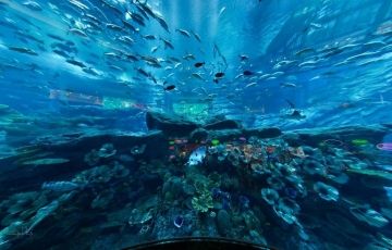 Amazing 6 Days 5 Nights Dubai Holiday Package