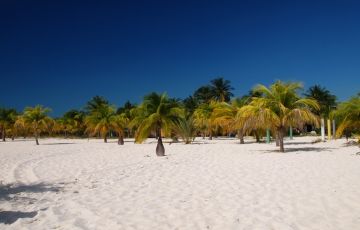 Heart-warming 8 Days 7 Nights Cuba and Playa Sirena Holiday Package