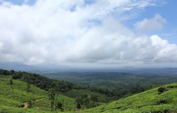 Green Wayanad Tour 1Night/2 Days