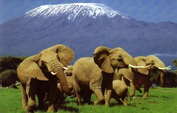 Best 3 Days 2 Nights Amboseli National Park Trip Package