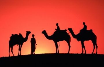 Magical 4 Days 3 Nights Jaipur with Ranthambhore Tour Package