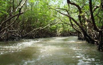 Amazing 7 Days 6 Nights Port Blair Vacation Package