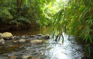 Family Getaway Coorg Tour Package for 3 Days 2 Nights