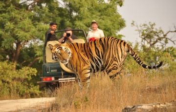 Amazing 2 Days 1 Night Corbett National Park Wildlife Tour Package
