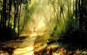 Amazing 8 Days 7 Nights Kausani Vacation Package