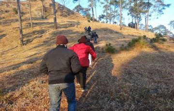 Pleasurable 2 Days 1 Night Kasauli Vacation Package