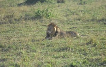 Heart-warming 6 Days 5 Nights Masa Mara Vacation Package