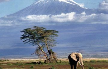 Amazing 6 Days 5 Nights Barranco Camp Holiday Package