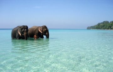 Beautiful 7 Days 6 Nights Ross Island Vacation Package