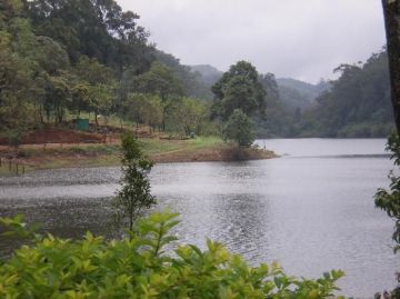 Magical 5 Days 4 Nights Munnar Trip Package