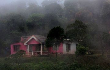 Heart-warming 3 Days Nights Munnar with Mattupetty Holiday Package