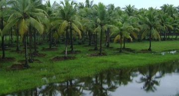 Magical 5 Days 4 Nights Kerala Tour Package