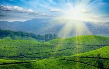 Best 2 Days 1 Night Cochin and Munnar Holiday Package