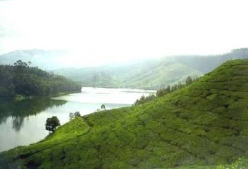 Munnar Tour Package for 3 Days 2 Nights from Ernakulam