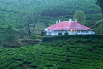 Munnar Tour Package for 3 Days 2 Nights from Ernakulam