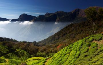 Beautiful 3 Days 2 Nights Munnar Vacation Package