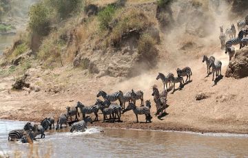 Tour Package for 5 Days 4 Nights from Nairobi Tour Package for 5 Days 4 Nights from Nairobi