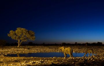Amazing 15 Days 14 Nights Etosha National Park Tour Package