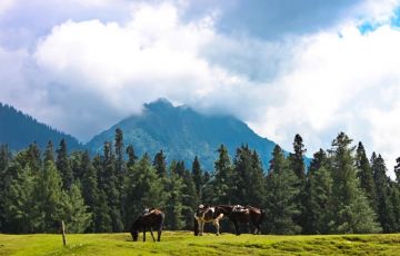 Experience 4 Days 3 Nights Srinagar, Pahalgam with Gulmarg Trip Package