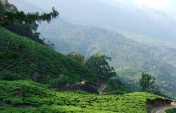 Ecstatic Kovalam Tour Package for 2 Days 1 Night