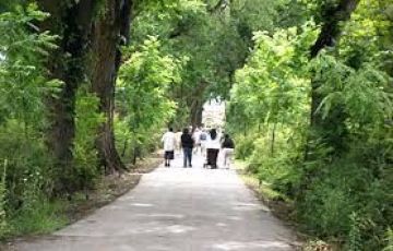 11 Days 10 Nights Delhi, Chandigarh, Shimla, Manali, Dalhousie with Dharamshala Tour Package