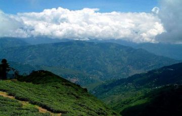 Family Getaway 7 Days 6 Nights Darjeeling Vacation Package