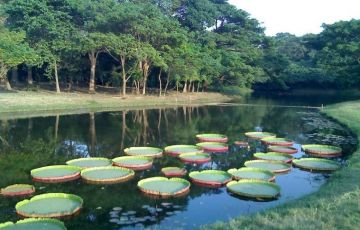 Magical 15 Days 14 Nights Kaziranga Tour Package