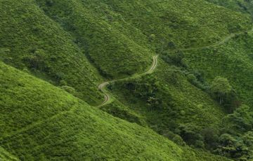 8 Days 7 Nights Bagdogra, Darjeeling, Gangtok, Siliguri with Kalimpong Vacation Package