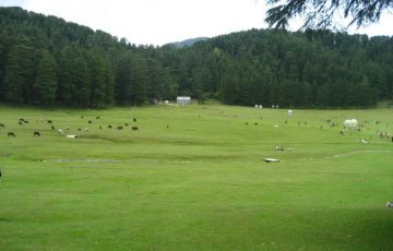 Ecstatic 7 Days 6 Nights Dalhousie Vacation Package