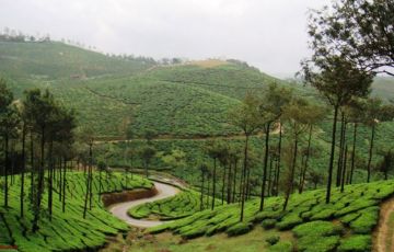 Pleasurable 6 Days 5 Nights Kannur Holiday Package