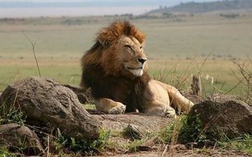 Ecstatic 3 Days 2 Nights Amboseli National Park Tour Package