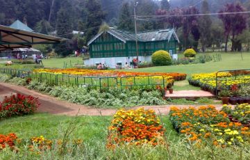 Ooty Trip