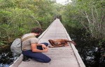 Experience 2 Days 1 Night Boat Holiday Package