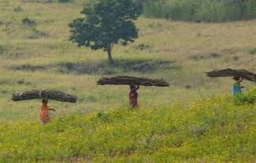 15 Days 14 Nights Delhi to Delhi Tour Package