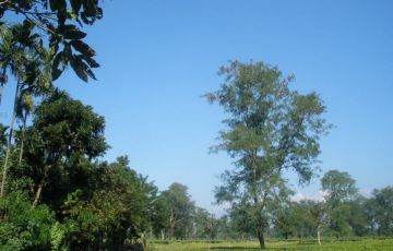 Heart-warming 7 Days 6 Nights Mahakaal Gumpha Trip Package