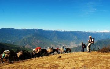 Beautiful 5 Days 4 Nights Paro with Thimphu Vacation Package