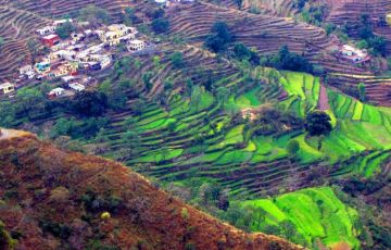 Memorable Chandigarh Tour Package for 8 Days 7 Nights