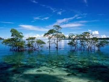 Heart-warming Havelock Island Tour Package for 6 Days 5 Nights