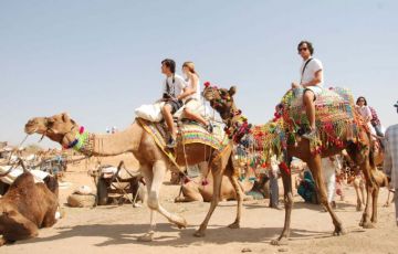 Heart-warming 8 Days 7 Nights Delhi, Agra, Jaipur and Pushkar Holiday Package