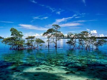 Heart-warming 4 Days 3 Nights Port Blair Tour Package