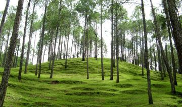 Beautiful 3 Days 2 Nights Ranikhet Tour Package