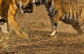 Magical 8 Days 7 Nights Delhi Trip Package