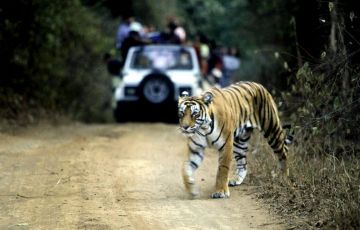 Tour Package for 3 Days 2 Nights from Ranthambore