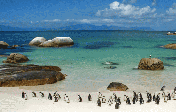 Beautiful 3 Days 2 Nights Cape Town Vacation Package