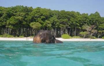 Experience 7 Days 6 Nights Port Blair and Havelock Island Tour Package