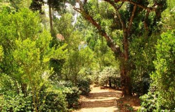 Best 3 Days 2 Nights Madurai, kodaikanal and Rameswaram Vacation Package