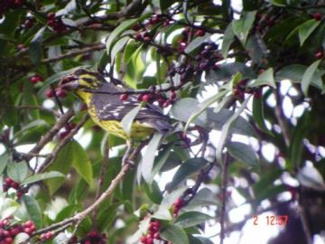 Beautiful 2 Days 1 Nights Rishikesh Holiday Package by Yatra Online Private Limited