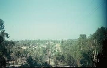 Heart-warming 3 Days 2 Nights Bangalore and Wayanad Trip Package