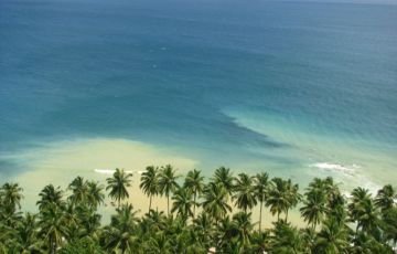 Pleasurable Havelock Tour Package for 6 Days 5 Nights